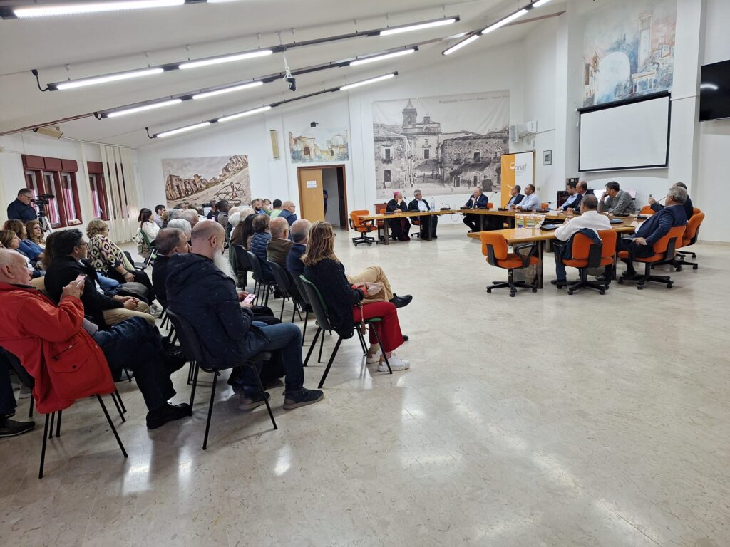 Immagine WhatsApp 2025-05-11 ore 09.26.58_a4cf53e4